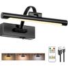 Tassuowell Rechargeable Picture Light with Remote Control,12 Inch Brass Finish Adjustable Wireless Art Lighting Fixture,Painting Lights with Timer,3