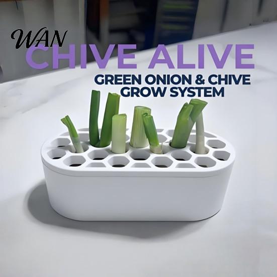 Countertop Plant Grower 3D Printed Scallion Leek Regrow Planter Hydroponic Growing Pot Multi-hole Holder for Kitchen Window Multi-Hole Design