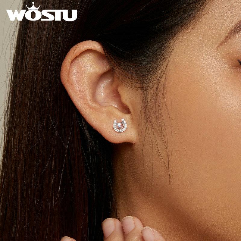 WOSTU Стерлингового серебра 925 пробы в форме сердца, подкова из лунного камня, круглые беруши и серьги для женщин, ювелирные изделия