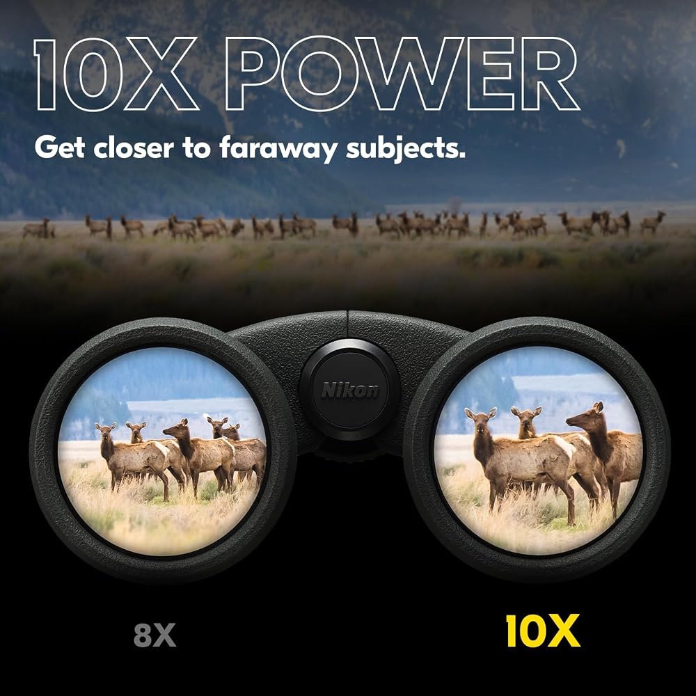 Nikon PROSTAFF P3 10x42 Binoculars | Waterproof, Fogproof, Rubber-Armored, Full-Frame Binoculars, Wide Field of View & Long Eye Relief | Official Niko
