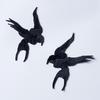 1 Pair Cute Flying Birds Embroidered Swallows Patches Applique Patch Accessories Clothing Decoration