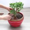 Practical Anti-corrosion Plant Pot Cover Easy Assembly Cuttable Plastic Flowerpot Protector for Home