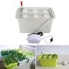 Indoor 6 Holes Hydroponic System Soilless Cultivation Plant Nursery Box Grow Kit