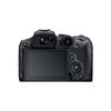 Canon EOS R7 Professional Mirrorless Camera (CN version)