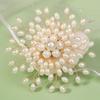 Korean Style Pearls Badge Exquisite Luxury Sense Brooch Jewelry Accessories Suit Collar Pin  Daily