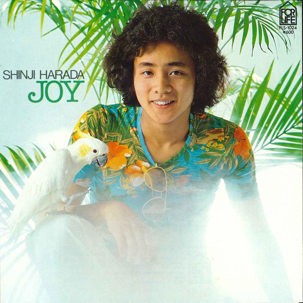 7-дюймовая пластинка SHINJI HARADA - Time Travel / Joy FLS1024 FOR LIFE 1978 Япония Японская поп/рок-музыка б/у