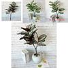 Ochrosia Maculata Jacq Tree Synthetic Greenery For Indoor Home Office Decoration And Photography