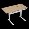 Электрический стоячий стол Loctek