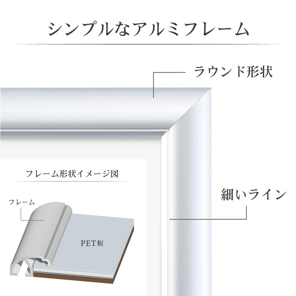 HAKUBA Алюминиевая фоторамка Peoria формата А4, набор из 10 предметов, серебряная рамка для плаката, фоторамка, передняя панель из ПЭТ с подвесным ремнем [оптовый набор]