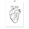 Wall Art Print Canvas Painting Human Anatomy Abstract One Line Bone Heart Tooth Nordic Poster Decor Pictures Medical Office Room