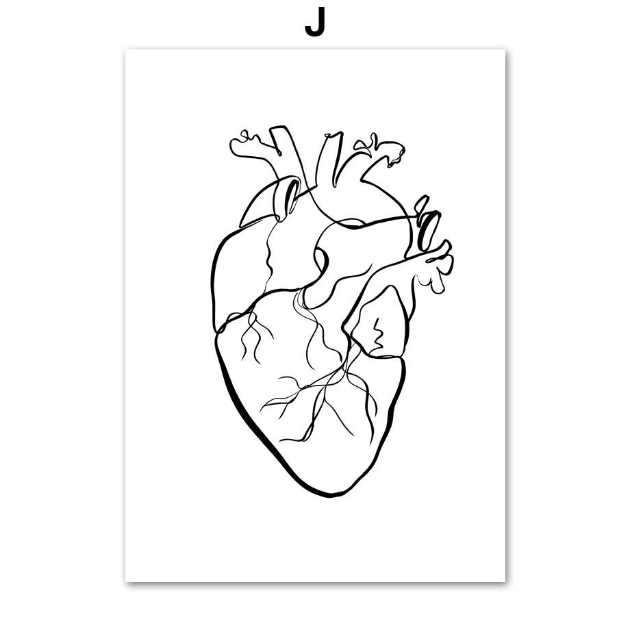Wall Art Print Canvas Painting Human Anatomy Abstract One Line Bone Heart Tooth Nordic Poster Decor Pictures Medical Office Room