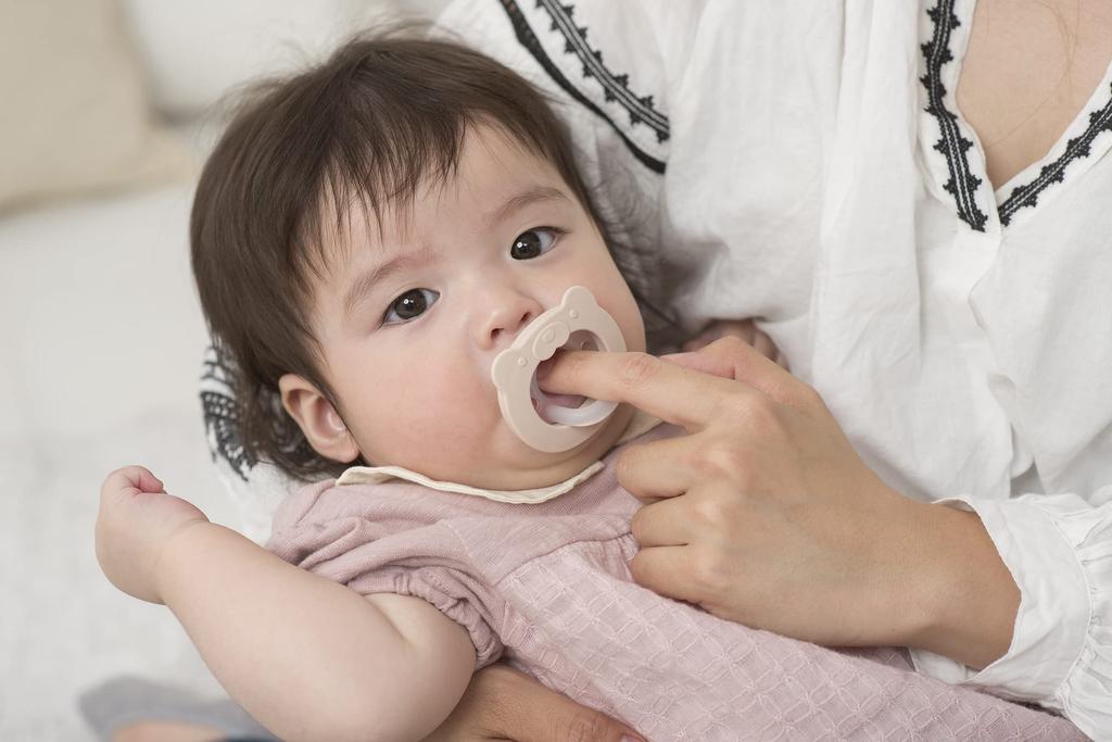 Соска-пустышка Richell Sucking Lab Bear для детей от 3 месяцев и старше