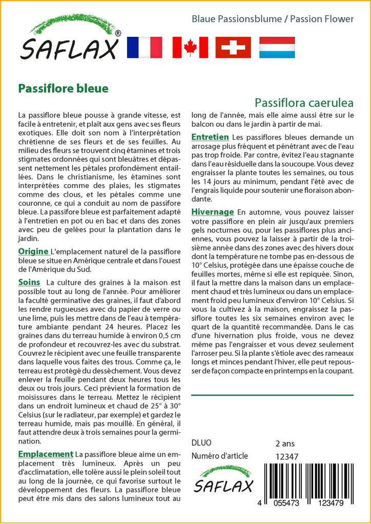 SAFLAX Цветок страсти - 25 семян - С горшечным субстратом для лучшего выращивания - Passiflora caerulea