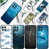 Чехол с акулой и косаткой для Samsung Galaxy M55 M15 M33 M13 M23 M53 M31 M51 M14 M34 M54 M20 M30s M52 M32