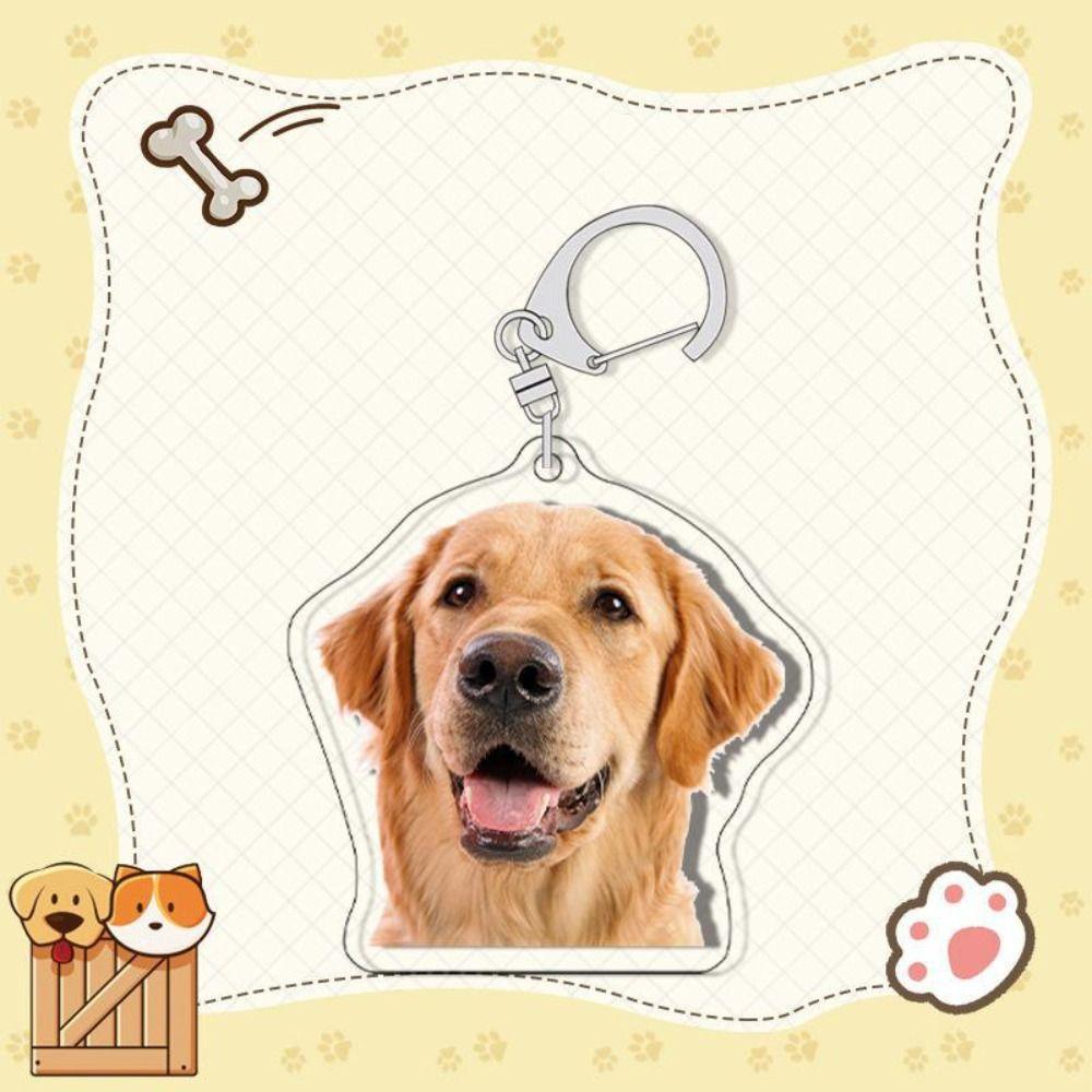 Samoyed Labrador Puppy Pendant Husky Acrylic Corgi Keyring Border Collie Dog Keychain  Unisex