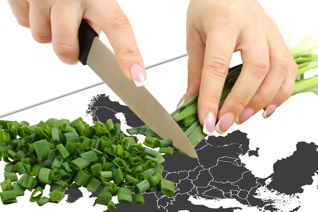 Szklana płyta ochronna na kuchenkę 80x52 Mapa