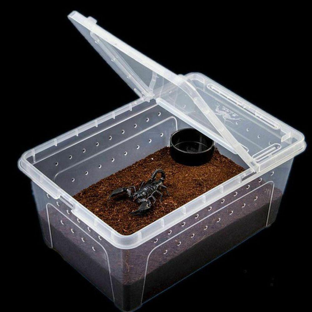Reptile Frogs Tarantulas Snakes Breeding Insect Reptile Terrarium Living House Cage Feeding Box