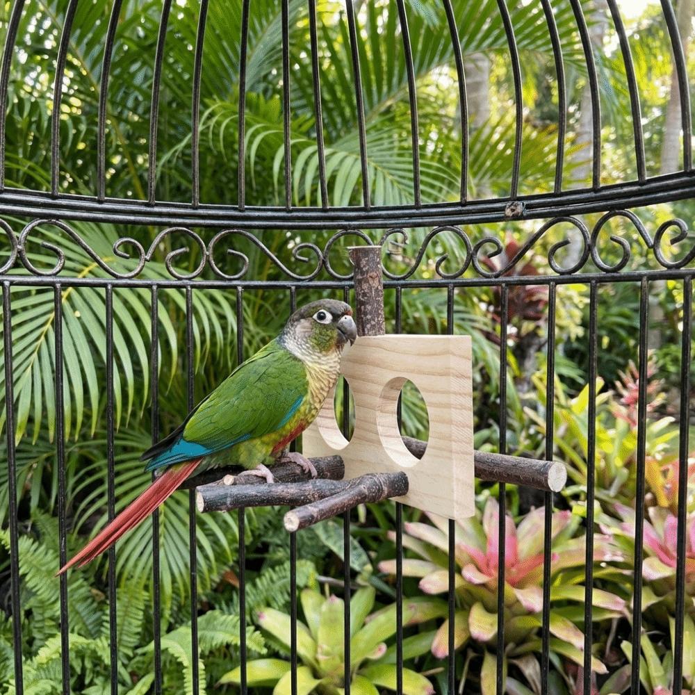 Detachable Parrot Parrot Perch Natural Bird Stand Perch For Parakeet Budgie Cockatoos