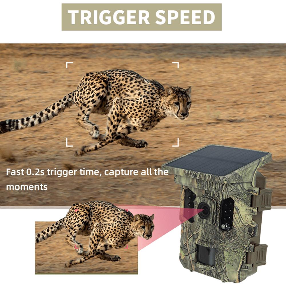 Камера дикой природы, солнечная энергия, тропа, камера 4K с ночным видением 1080P, водонепроницаемое приложение BT WiFi, Wi-Fi