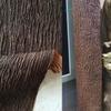 Искусственные стеновые покрытия с эффектом среза, Украшения для деревьев с растительным эффектом для полов и стен,