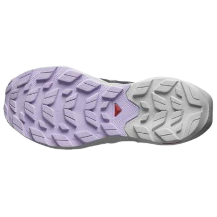 SALOMON Кроссовки женские Elixir Activ Sharkskin Orchid Petal Grey Glacier-Grey L47457500