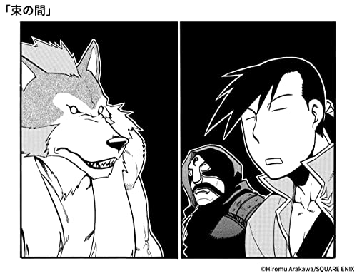 Fullmetal Alchemist 20th ANNIVERSARY BOOK (Fan Book)