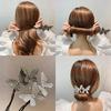 Korean Hair Styling Tool: Lazy Curling & Braiding Butterfly Clip