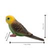 Miniatures Bird Figurines Educational Parrot Ornament Animal Sculpture Budgerigar Toy  Tabletop