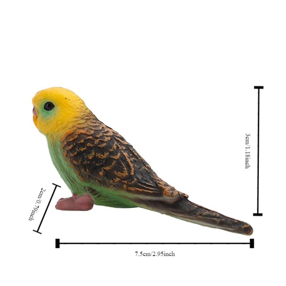 Miniatures Bird Figurines Educational Parrot Ornament Animal Sculpture Budgerigar Toy Tabletop