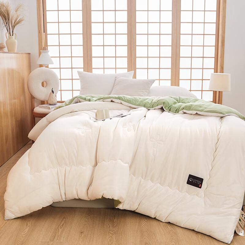 Zuoyouzuo Washable Cotton-Soy Fiber Quilt