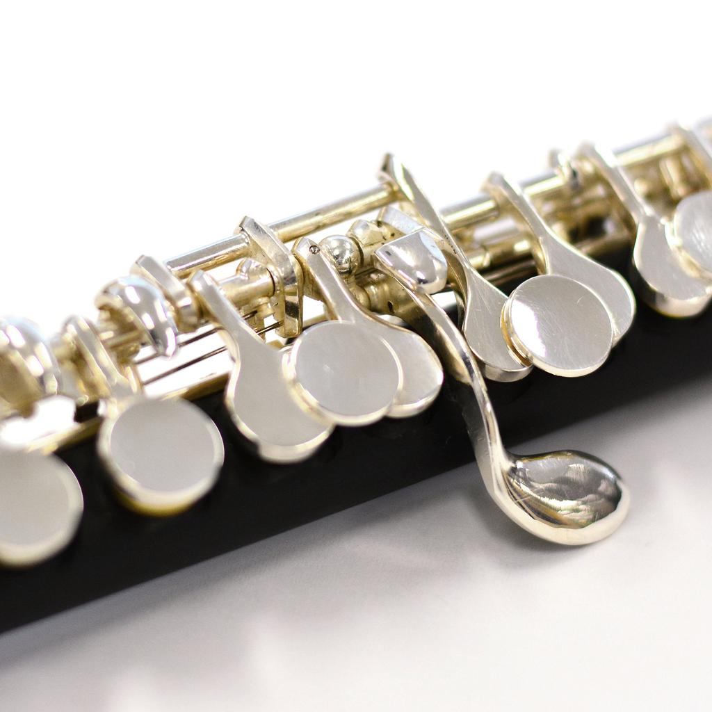 Kaerntner Piccolo Silver Semi-Hard Case KPC-320