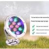 LED Underwater Fountain Light