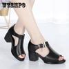 Fish Mouth Sandals Women's Spring and Summer New Roman Women's Thick Heels All-match Medium-heeled Women's Shoes Middle-aged Mother Shoes