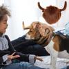 Cute Pet Wig Headgear Adjustable Pet Hat Headwear Wig Funny Pet Horn Headgear  For Cosplay Party