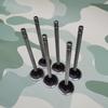 EQ1120GA Engine Intake/Exhaust Valve