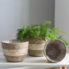 Natural Seaweed Plant Baskets Home Plant Flower Pot Cover Grass Woven Flower Basket and Pot