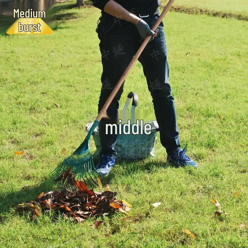 Agricultural Leaf & Grass Rake