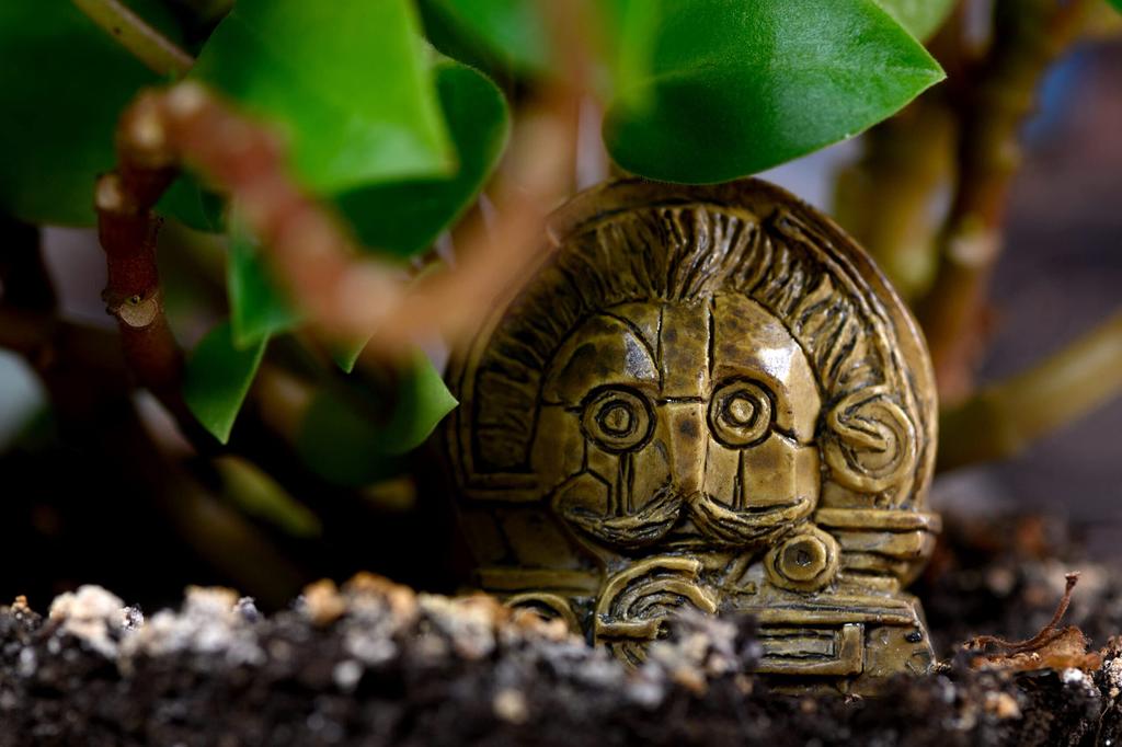 Хобби Япония Ботаника Японская версия 2 30 для возраста 10 и Настольная игра (для игроков, минут, до)