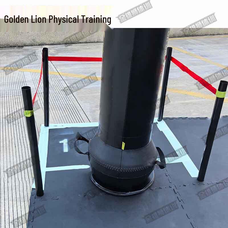 Golden Lion Combat Training Tumbler System
