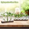 with Wooden Tray Hydroponics Glass Vase Bud Vases Bulb Vase  Home Decoration