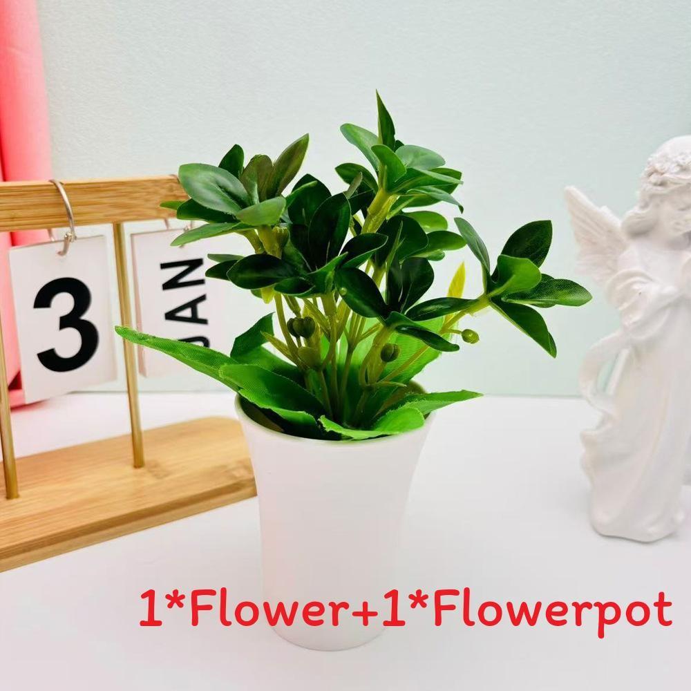 Мимоза Стыдливая Шеффлера Восьмилистная Зеленое Растение для Домашнего Настольного Декора