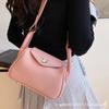 Spring Niche Lychee Pattern Shoulder Bag High-value Temperament Pillow Bag 2025 Spring New Women's Fashion Bag