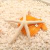 Natural 5-12cm/10-12cm White Finger Starfish Lightweight Conch Shells Ornament Waterproof Wedding Starfish Decor