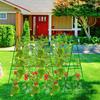 Cucumber Trellis for Garden 48 Inch A-Frame Plant Trellis Set with Net And Ties Climbing Vegetable Support