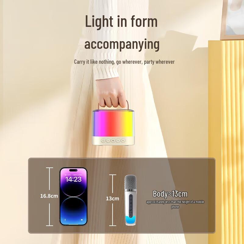 Shanshui V1 Wireless Bluetooth Karaoke Speaker Set