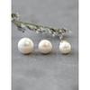 14K Natural Flat Freshwater Pearl Earrings