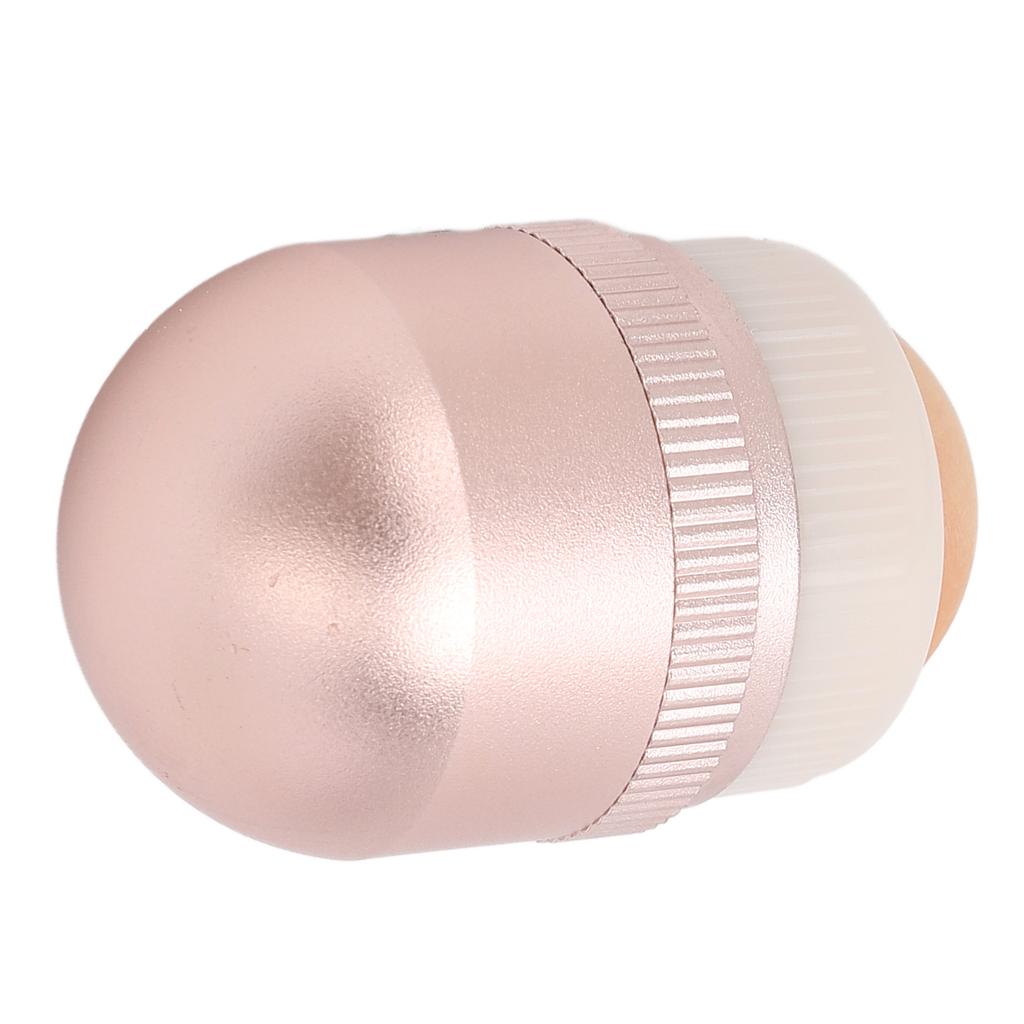 Oil Absorbing Volcanic Roller for Oily Skin Face Makeup Portable Reusable Oil Control Facial Roller