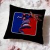 Popular LLimp Bizkiter Cushion Cover Soft Washable Pillow Case Multi-Scene for Couch Bed Travel Office Use
