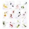 Daily Care Sheet Mask 12 Types X 2p Set, 1 Set
