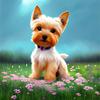 5D Diy Алмазная картина Мозаика Йоркширский терьер Собака Полная квадратная/круглая вышивка Животное Милый Новый домашний декор